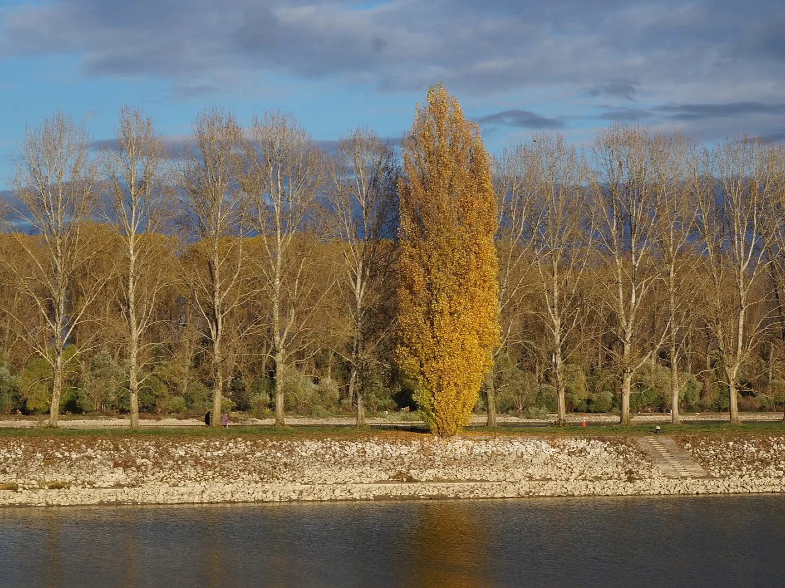 Rheinhafen in Speyer im Herbst, Hafenbecken mit Schiffen